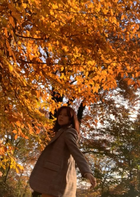 Fall Self Photoshoot, Leaves Photoshoot, Fall Leaves Picture Ideas, Autumn Pic Ideas, Fall Leaves Photoshoot Ideas, Fall Sunset Photoshoot, Fall Selfie Ideas, Fall Foliage Photoshoot, Fall Poses Photography