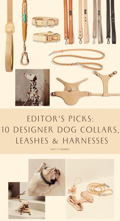 Whether you follow the latest in designer dog trends and need help filtering out your pages-long wish list (no shame here, you’re amongst friends) or you’re looking for recommendations on the best luxury dog accessories to kick-start your wish list, we’ve rounded-up 10 of our most-loved designer dog collars, leashes and harnesses right now. Dog Brands, Luxury Dog Accessories, Dog Trends, Dog Accesories, Velvet Dog Collar, Personalized Leather Dog Collar, Luxury Dog Collars, Designer Dog Collars, Custom Dog Collars