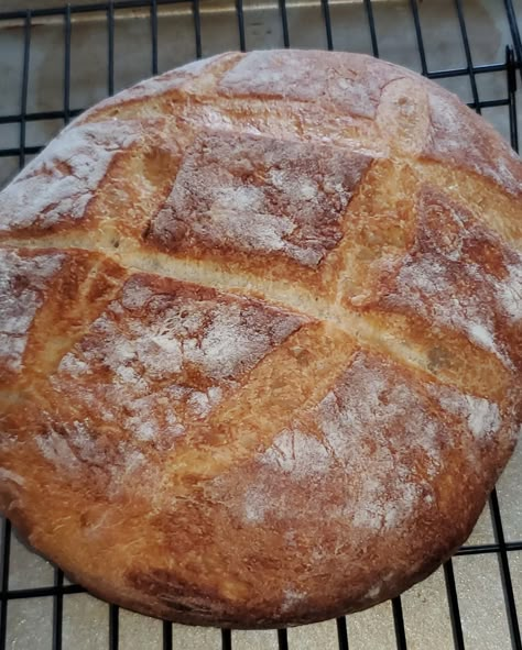 Instant Pot Bread Recipes, Instant Pot Bread, Crusty Bread Recipe, Pot Bread, Kitchen Witch Recipes, Knead Bread Recipe, Artisan Bread Recipes, Cooking Bread, Knead Bread