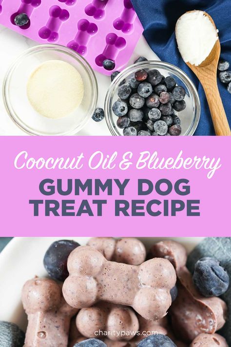 Coconut Dog Treats Recipes, Dog Treats With Veggies, Diy Dental Dog Treats, Coconut Oil Treats For Dogs, Coconut Oil Dog Treats Recipes, Fancy Dog Treats, Blueberry Dog Treats Homemade, Dog Treats With Coconut Oil, Grain Free Dog Treat Recipes