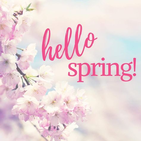 Spring First Day, 1st Day Of Spring, Hello Quotes, Happy First Day Of Spring, Seasons In The Sun, Spring Writing, Hippie Quotes, Spring Images, Spring Pictures