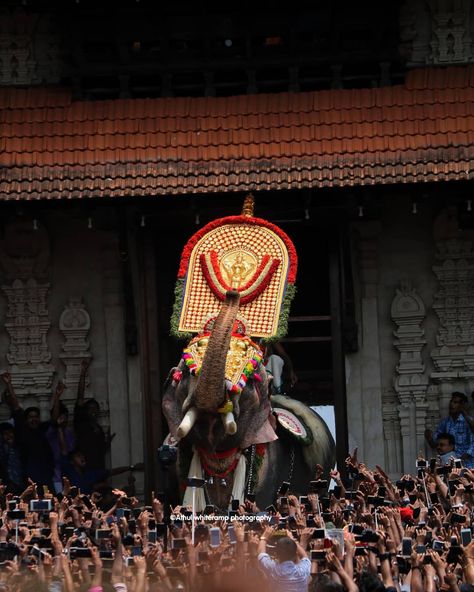 Pooram Festival Background, Thrissur Pooram Photography, Kerala Festival, Thrissur Pooram, Sparrow Wallpaper, Jack Sparrow Wallpaper, Dance Of India, Elephant Photography, Simple Living Lifestyle