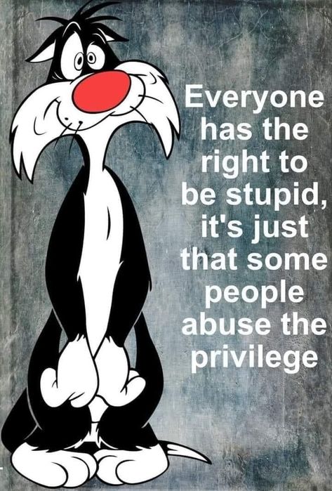 Funny Cartoon Jokes, Funny Day Quotes, Funny Cartoon Characters, Elmer Fudd, Good Morning Funny Pictures, Funny Cartoons Jokes, Motivation Positive, Funny Quotes Sarcasm, Funny Animal Quotes