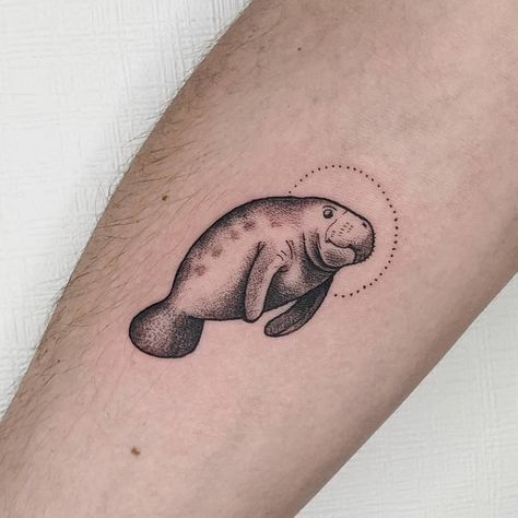 Manatee Tattoo, Sea Life Tattoos, Seal Tattoo, Community Tattoo, Cactus Tattoos, Pumpkin Tattoo, Cactus Tattoo, Elements Tattoo, C Tattoo