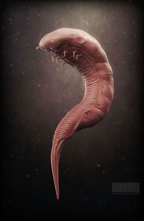 ArtStation - worm (quick sketch), Sandesh Chonkar Lovecraftian Horror, Creepy Monster, Beast Creature, Cool Monsters, Alien Concept, Cosmic Horror, Alien Concept Art, Alien Creatures, Post Apocalypse