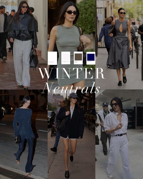 Colour Analysis for Winter Neutrals Cool Winter Palette Outfits, True Winter Outfits, True Winter Hair, True Winter Palette, True Winter Makeup, Color Analysis Winter, Neutral Inspiration, Winter Neutrals, Deep Winter Palette