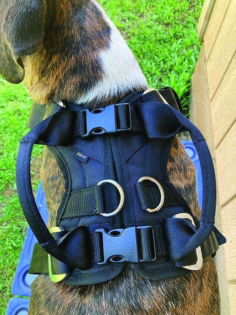 Car Accessories For Dogs, Mobility Harness Service Dog, Guide Dog Harness, Dog Car Harness, Dog Car Seat Belt, Car Harness, Dog Journal, Dog Gadgets, Dog Seat Belt