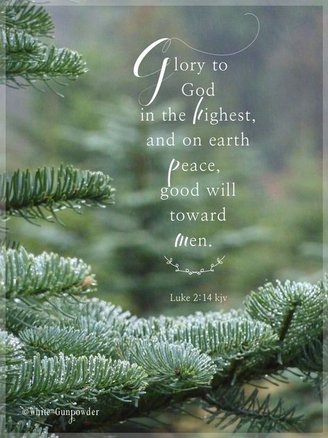 Glory to God in the highest, and on earth peace, good will toward men. Luke 2:14    Peace on earth good will to men. Christmas Verses, Christmas Scripture, Merry Christmas Quotes, Glory To God, Christmas Bible, Luke 2, Christmas Blessings, Christian Christmas, Peace On Earth