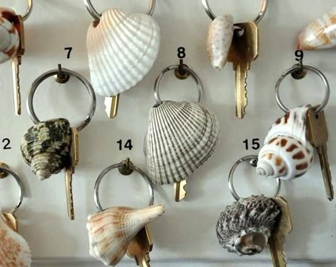 Shells Hantverk Diy, Art Coquillage, Shell Ideas, Shell Craft, Deco Nature, Seashell Crafts, Beach Crafts, Shell Crafts, Shell Art