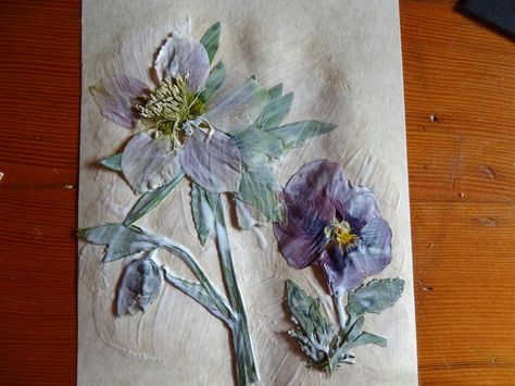 Modge Podge and dried flowers Microwave Flower Press, Pounded Flowers, Framed Pressed Flowers, Pressed Flower Crafts, Art Projects For Adults, Easy Art Projects, Modge Podge, Pressed Flower Art, Diy Wedding Flowers