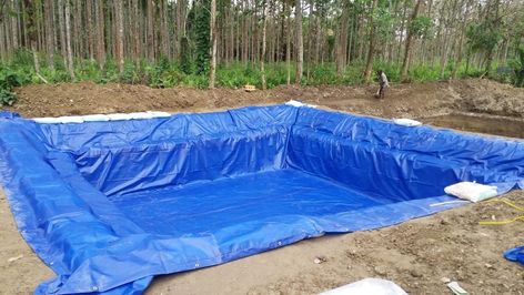 Fish Farming Ponds, Homemade Swimming Pools, Tarpaulin Design, Swimming Pool Liners, Waterproof Tarp, Aquaponics Fish, Hot Tub Ideas, Pool Pond, Pool Liner