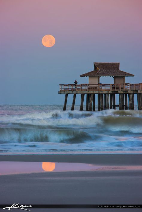 naples_pier_moon_setting_over_gulf_coast by CaptainKimo Naples Pier, Shell Painting, Places In Florida, There And Back Again, Florida Photography, Moon Setting, Seas The Day, Florida Lifestyle, Gulf Coast Florida