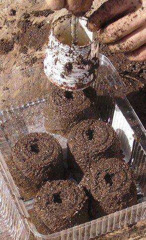 Make Super Cheap Seed Starters : 6 Steps (with Pictures) - Instructables Soil Blocks, Seed Starters, Organic Gardening Pest Control, Growing Tomatoes In Containers, Paper Pot, Vegetable Garden Planning, Starting Seeds Indoors, Seed Starter, Diy Greenhouse