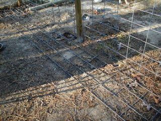 Peace in the Yard: 7 Ways To Dog Proof Your Fence. Definitely using the L Footer with our privacy fence. Diy Dog Pen Outdoor, Diy Dog Pen, Dog Proof Fence, Dog Pen Outdoor, Digging Dogs, Kennel Ideas, Outdoor Gate, Dog Yard, Dog Playground