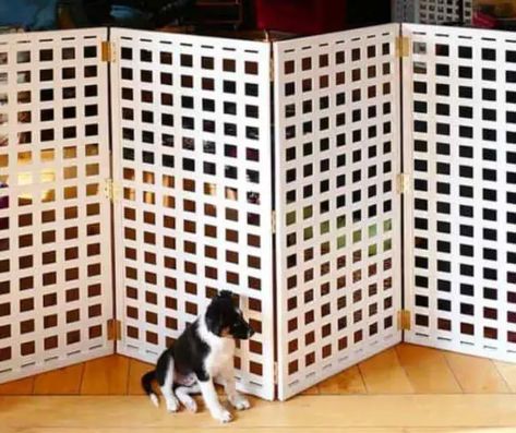 DIY Pet Gate Cheap Dog Fence Ideas, Cheap Dog Fence, Rv Dog Fence, Dog Fence Ideas, Temporary Fence For Dogs, Dog Proof Fence, Portable Dog Fence, Indoor Dog Fence, Dog Tether