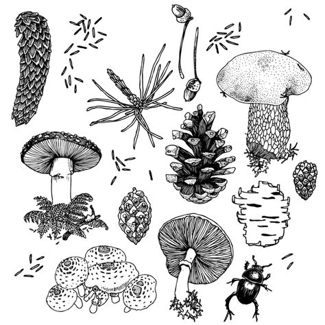 group    © 2012, vyrobeno lesem illustrator Michal Báčak Forest Flash Tattoo, Woodland Mushroom Tattoo, Mushroom Forest Tattoo, Line Work Mushroom Tattoo, Pinecone Tattoo, Mushroom Illustration Black And White, Tattoo Appointment, Permission Slip, Woodcut Tattoo