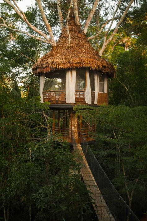 Treehouse Lodge—the only lodge of it’s kind in the Amazon Rainforest—is an all-inclusive, luxury lodge located at the confluence of the serene and protected Yarapa and Cumaceba Rivers near the Pacaya Samiria Reserve. Visit and you’ll see the rainforest from an entirely new perspective that most visitors never experience—the treetop canopy. You’ll never forget the experience of watching monkeys and birds at eye level as every morning you’ll wake up to a safari of animal life before you even get o Unusual Hotels, Treehouse Hotel, Treehouse Cabins, Amazon Forest, Forest Canopy, Unique Hotels, Hot Tub Outdoor, Amazon Rainforest, Machu Picchu