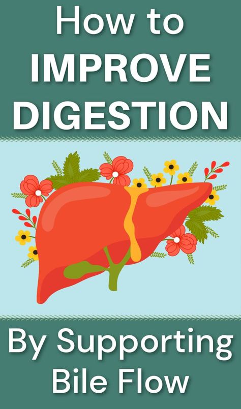 A human liver and bile duct system. Natural Healing Herbs, Natural Remedies For Allergies, Balance Hormones, Natural Acne Remedies, Hormone Balance, Natural Healing Remedies, Natural Health Care, Natural Health Tips, Natural Health Remedies