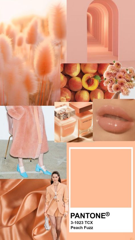 Peach Wedding Theme, Coral Wedding Decorations, Peach Clothes, Rose Quartz Serenity, Pantone Colour Palettes, Color Combos Outfit, Coral Wedding, Webpage Design, Peach Wedding