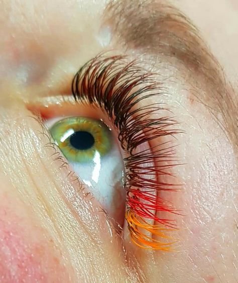 Brown, dark red, red, orange, lash extensions, green eyes Red And Orange Lash Extensions, Orange Eyelash Extensions, Fall Lash Extensions, Lash Extensions Green Eyes, Orange Lash Extensions, Fall Lashes, Orange Lashes, Fairy Eyelashes, Daily Eye Makeup