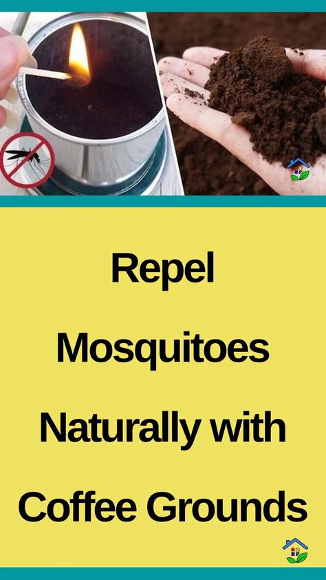 Safely keep mosquitoes away using a natural and cost-effective solution: coffee grounds. Looking to fight off those bothersome and annoying mosquitoes? Time for the secret ingredient that will eliminate them. Coffee grounds to the rescue! I-What You Need: – Coffee waste. – Aluminum foil. – A sealed glass bowl. – A heat source (lighter, matches, […] Patio Mosquito Repellent, Natural Repellent For Mosquitoes, Natural Mosquito Repellent For Yard, Coffee Grounds For Mosquitos, Burning Coffee Grounds For Mosquitos, Coffee Ground Mosquito Repellent, Coffee Grinds For Mosquitos, Coffee Ground Candles Diy, Burn Coffee Grounds For Mosquito