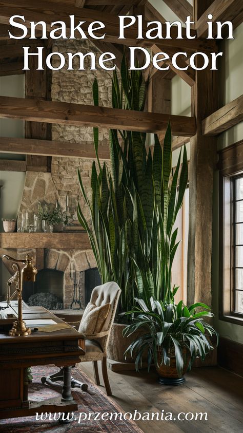 Add a snake plant to your home office for a boost in productivity. This low-maintenance plant thrives in low light and is perfect for home office plants. Enhance your indoor design with snake plants, making your workspace part of my dream home. Enjoy the benefits of house plants decor.  #goodhouseplantslowlight #plantsforhomedecor #homeindoorplants #houseplants #plantsforhomeoffice #homeofficeplants #homedecor #houseplantsdecor #homeplantinspiration #dreamhousedecor Simple Plant Room, Snake Plant Decor Ideas Living Rooms, Snake Plant Bedroom Decor, Snake Plants Indoor, Large Potted Plants Indoor, Snake Plant Garden, Large Snake Plant, Home Office Plants, Indoor Plants Decor Living Room