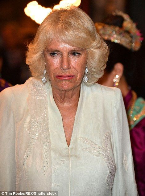 Camilla appeared to be feeling the heat... Camila Parker, Prinz Charles, Charles And Camilla, Royal Uk, Prince Charles And Camilla, George Town, Camilla Parker Bowles, Royal Family England, Queen Camilla