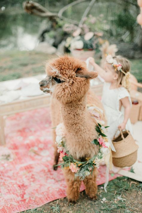 Alpaca Birthday Party, Birthday Party For Twins, Girl Nursery Inspiration, Nursery Inspiration Girl, Twin Birthday Parties, Boho Birthday Party, Llama Birthday, Wedding Party Ideas, Carnival Birthday Parties