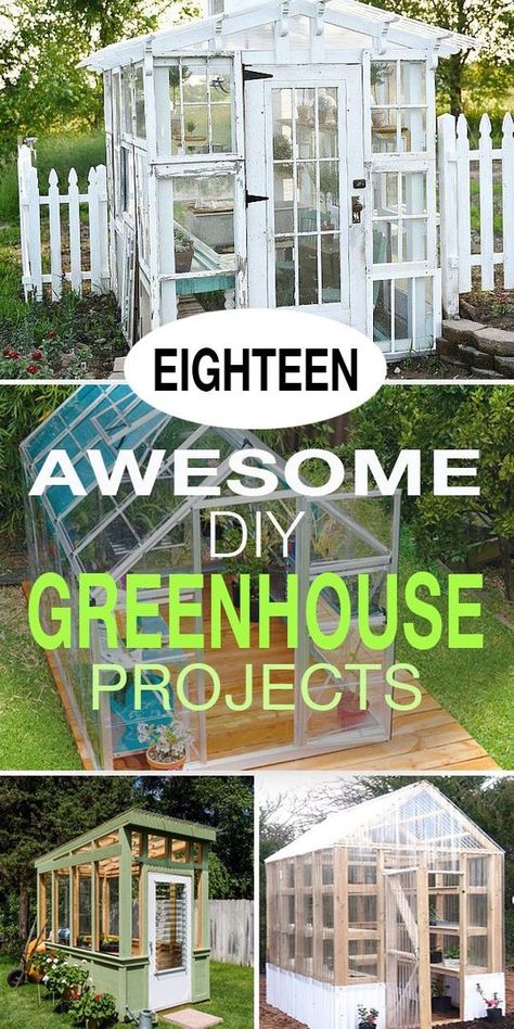 If you’re a serious gardener, you would love to get your hands on a greenhouse, right? Check out these DIY greenhouse projects and try your hands at building your own! #greenhouse #DIYgreenhouse #DIYgreenhouseprojects #DIYgreenhouseideas #greenhouseideas #greenhouseprojects #DIYgardenideas #diygardenprojects Greenhouse Projects, Homemade Greenhouse, Greenhouse Supplies, Diy Greenhouse Plans, Outdoor Greenhouse, Build A Greenhouse, Indoor Greenhouse, Home Greenhouse, Greenhouse Effect