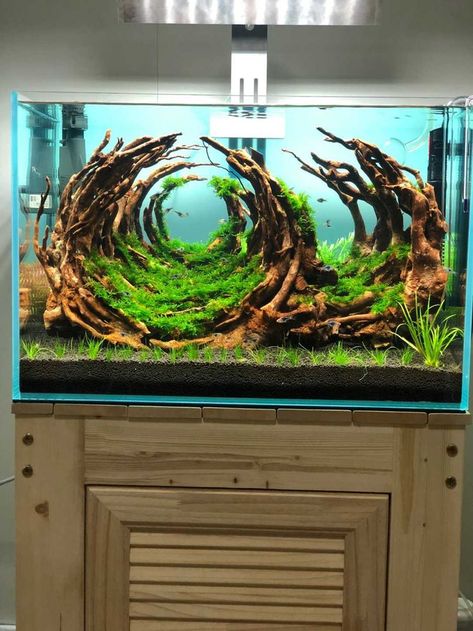 Fish Tank Themes Ideas, Cool Fish Tank Decorations, Aquascaping Ideas, Fish Tank Ideas, Tank Terrarium, Water Terrarium, Diy For Beginners, Fish Tank Themes, Amazing Aquariums