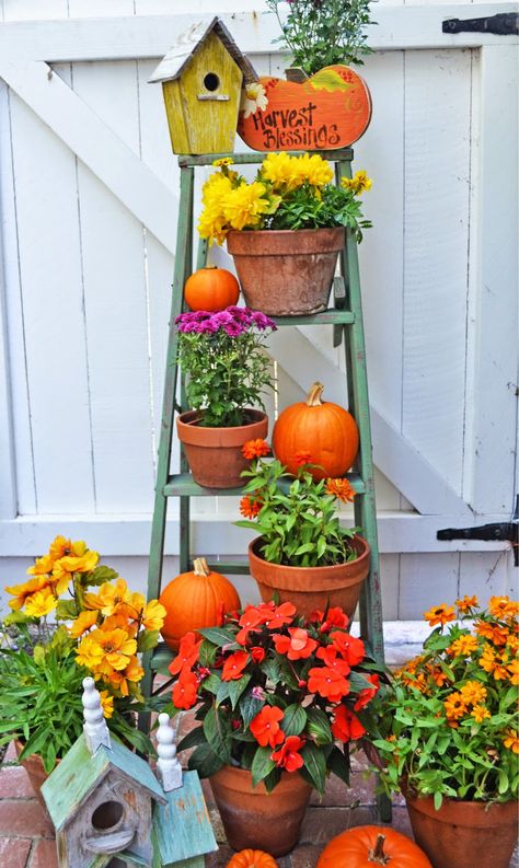 Repurpose a ladder to decorate your garden or display it on your front porch with different fall items. Fall Ladder Decor, Fall Garden Decor, Paula Scher, Old Ladder, Fall Front Porch Decor, Diy Outdoor Decor, Fall Garden, Fall Front Porch, Front Porch Decorating