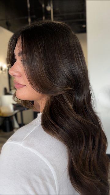 Abigail Lacey on Instagram: "Teddy Bear Brunette 🐻 There’s nothing more satisfying than fresh, glossy color this time of year. Many brunettes feel like they can’t achieve dimension without having to get a heavy highlight or add tons of “blonde” to their hair, but this simply isn’t true! You have options that still allow you to switch it up-without being too high maintenance. Even with your hair extensions! You can also achieve that same natural looking dimension within your hair extensions at Elle Society due to our signature customization process. Learn more and get the look via link in bio! . . . #troutdalehairsalon #portland #troutdaleoregon #portlandhairstlylist #portlandhairsalon #portlandstylist #happyvalley #happyvalleyoregon #happyvalleyhairstylist #happyvalleyhair #happ Glossy Dark Brown Hair Subtle Highlights, Brunette Hair With A Few Highlights, Brunette With Slight Dimension, Chocolate Dimension Hair, Barely There Highlights Dark Hair, Dimension In Dark Hair, Dark To Medium Brown Hair, Level 5 Neutral Brown Hair, Brown Hair Colors Without Highlights