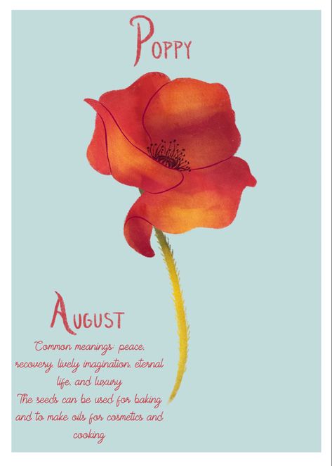 Flower Gladiolus, August Poppy, August Month, Logo Design Inspiration Creative, Paint Flowers, Succulent Garden Diy, Flower Meanings, Maybe Someday, Month Flowers