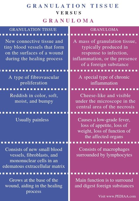 What is the Difference Between Granulation Tissue and Granuloma - Pediaa.Com Function Of Blood, Aspiration Pneumonia, Granulation Tissue, Home Health Nurse, Mcat Study, Lymph Nodes, Wound Care, What Is The Difference Between, Chronic Inflammation