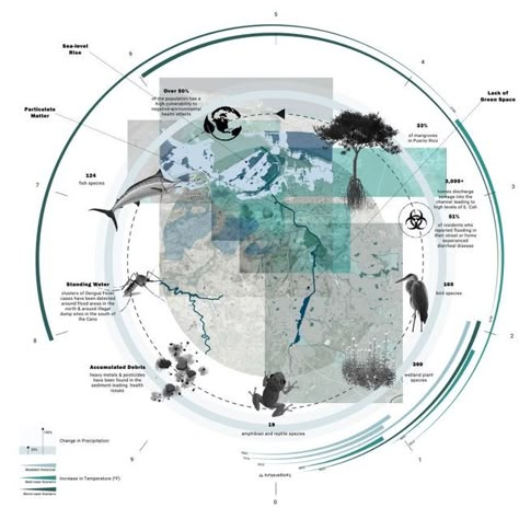Felicia-Nichole on Instagram: "Climate Impacts: By addressing air pollution, water contamination, and the lack of green spaces, the initiative seeks to improve immediate well-being and address broader environmental justice concerns. ~ Planting the Seeds of Sovereignty: Decolonizing the Soil and Air in the San Juan Watershed proposes a phytotechnology-based approach to address Puerto Rico's historical and contemporary environmental challenges. ~ STU1402: Island of Enchantment, Atmospheric Grounds w/ @craig_douglas_cumulusworks The studio explores design responses to climate change in Puerto Rico through the reciprocal relationships of ground and air.  ©️Felicia-Nichole Perez  #harvardgsd #gsdmla #landscapearchitecture #design #timeline #puertorico #islandofenchantment #studentwork #BSLA #cl Indigenous Knowledge Systems, Architecture Climate Analysis, River Pollution Poster, Plant Timeline, Alluvial Diagram, Climate Diagram, Environmental Infographics, Nature Infographic, Climate Architecture