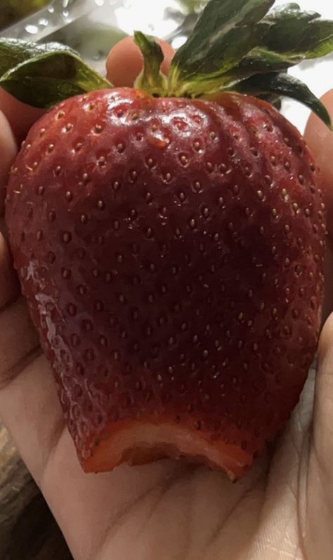 Big Strawberry, Giant Strawberry, Strawberry Fruit, Food Inspo, Yummy Yummy, Soft Lighting, Strawberries, Theater, Fruit