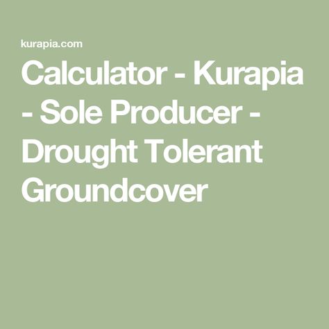 Calculator - Kurapia - Sole Producer - Drought Tolerant Groundcover Kurapia Groundcover, Triangular Pattern, Plant Spacing, Plant Needs, Drought Tolerant, Calculator, Planting, Yard, Square