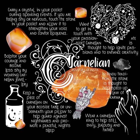 256 Likes, 3 Comments - Witches of Instagram (@witches.of.insta) on Instagram: “My tips for working with carnelian. What are yours?” Obsidian Magical Properties, Crystals Healing Properties, Crystal Healing Stones, Snowflake Obsidian, Book Of Shadows, Crystal Gems, Healing Stones, Stones And Crystals, Crystal Healing