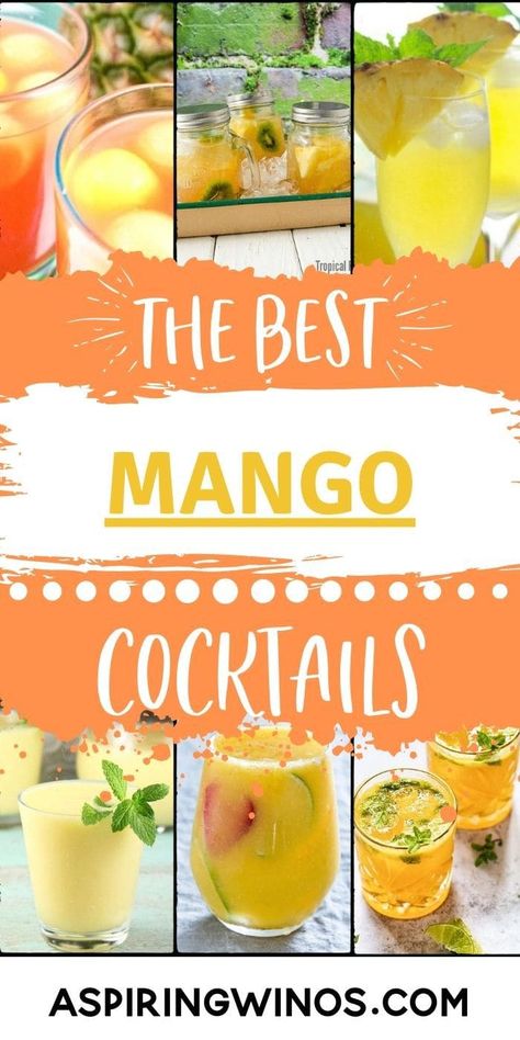 Mango Drink Recipes Alcohol, Cocktails With Mango Juice, Spicy Mango Cocktail, Mango Puree Recipe For Drinks, Mango Punch Recipes, Mango Meltdown Drink Recipe, Mango Juice Cocktail Recipes, Mango Liquor Drinks, Mango Summer Drinks