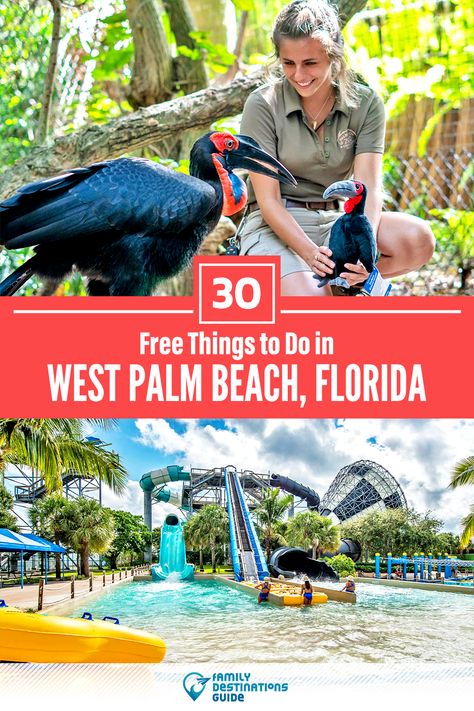 Looking for free activities in West Palm Beach that are fun and interesting? We’re FamilyDestinationsGuide, and we’re here to help: Discover the best free things to do in West Palm Beach, FL - so you get memories that last a lifetime! #westpalmbeach #westpalmbeachthingstodo #westpalmbeachactivities #westpalmbeachactivitiesfree #westpalmbeachthingstodofree Beach With Kids, Breakers Palm Beach, Florida Road Trip, Things To Do In Florida, West Palm Beach Florida, Kid Friendly Activities, Palm Coast, Palm Beach Florida, Beach Activities