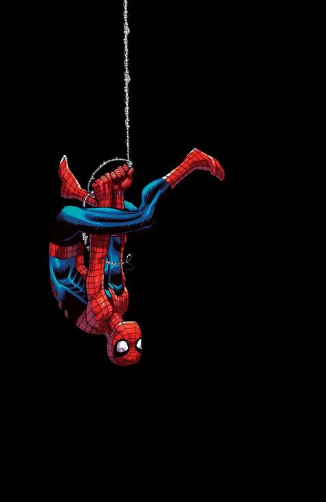 Spider-Man Spider Man Climbing Wall, Spider Man Upside Down, Spider Man Web Wallpaper, Spider Man Graffiti, Spiderman Jumping, Spiderman Swinging, Spiderman Upside Down, Spider Man Pfp, Spider Man Swinging