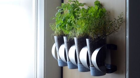 Turn an IKEA Wine Rack Into a Wall-Mounted Herb Garden Kitchen Herb Wall, Ikea Wine, Ikea Wine Rack, Indoor Herb Garden Diy, Ikea Garden, Diy Wall Planter, Herb Wall, Herb Garden In Kitchen, Diy Herb Garden