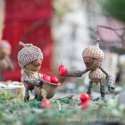 Twig People, Botanical Center, Twig Crafts, Acorn Crafts, Fairy Garden Crafts, Deco Nature, Fairy Crafts, Fairy Garden Houses, Miniature Crafts