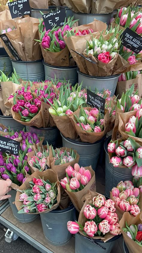 Boquette Flowers, Nothing But Flowers, Flower Therapy, Beautiful Bouquet Of Flowers, Spring Aesthetic, Spring Vibes, Alam Yang Indah, Beautiful Bouquet, Love Flowers