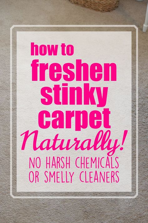 If you have pets or children or people living in your house and have carpet, then you know it can get a bit ripe... as in stanky.  Here is my method for how to freshen carpet - Naturally! Freshen Carpet, Daily Cleaning Routine, Carpet Freshener, Routine Tips, Cleaner Recipes, Daily Cleaning, Cleaners Homemade, Simple Life Hacks, Natural Cleaning Products