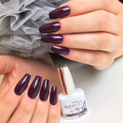 Indigo Nails Colour, Nails Colour, Nails Pedicure, Indigo Nails, Uv Gel Nail Polish, Indigo Colour, Hot Nails, Natural Beauty Tips, Gel Nail Designs