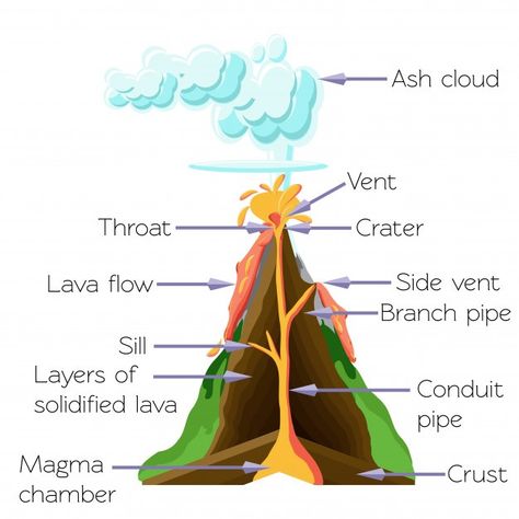 Volcano Layers Project, Volcanoes Worksheet, Volcano Lesson, Volcano Diagram, Volcano Science Fair Project, Diy Volcano Projects, Science Teaching Aids, About Volcano, Landform Projects