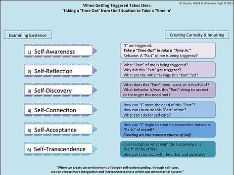 Core Existential Wounds: Identity Development Core Wounds, Social Constructivism, Existential Therapy, Stages Of Growth, Counselling Tools, Internal Family Systems, Systems Theory, Identity Development, Mental Health Crisis