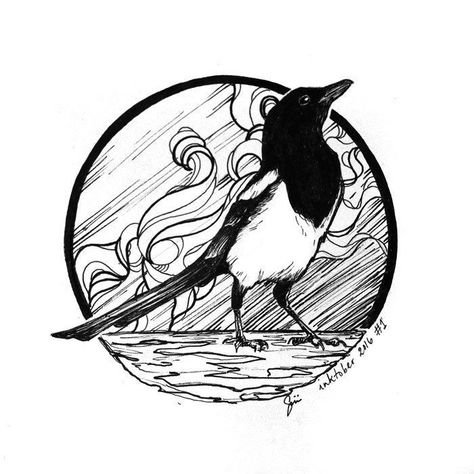 Magpie, The Rain, Log In, Log, Black And White, Water, Twitter, Black