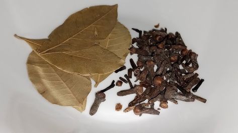 Why You Should Mix 2 Cloves with 2 Bay Leaves: The Benefits and How to Use It Leaf Health, Swollen Gum, Natural Repellent, Kitchen Spice Racks, Cinnamon Tea, Aromatic Plant, Respiratory Health, Wellness Recipes, Natural Teeth Whitening